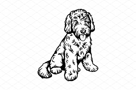 Labradoodle Mix dog - vector | Animal Illustrations ~ Creative Market