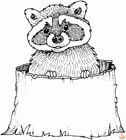 Enjoy Free and Printable Raccoon Coloring Pages on GBcoloring
