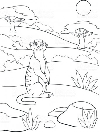 Coloring Pages Little Cute Meerkat Smiles Stock Illustration ...