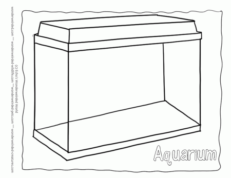 Blank Aquarium Coloring Pages Free, Outline Drawing of Aquarium ...