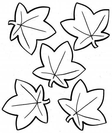 19 Free Pictures for: Fall Leaf Coloring Pages. Temoon.us