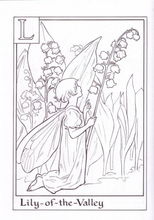 Flower Fairies Alphabet Coloring Book