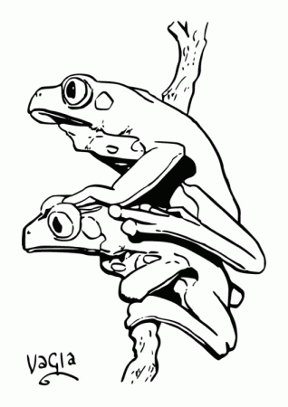 Poison Dart Frog coloring page - Animals Town - animals color sheet - Poison  Dart Frog free printable coloring pages animals