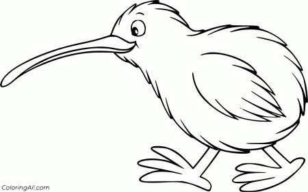 Kiwi Bird Coloring Pages - ColoringAll