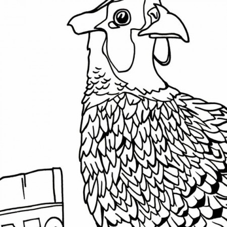 Ring-necked Pheasant Coloring Page - Etsy Finland