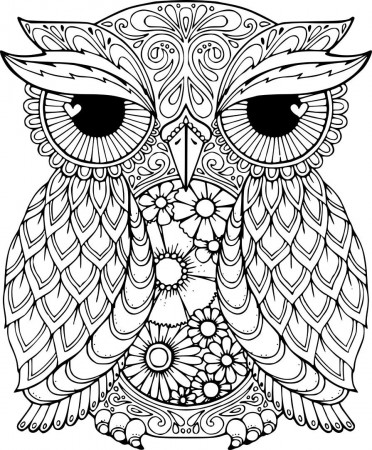 Owl Coloring Pages ⋆ coloring.rocks! | Owl coloring pages, Bird coloring  pages, Mandala coloring pages