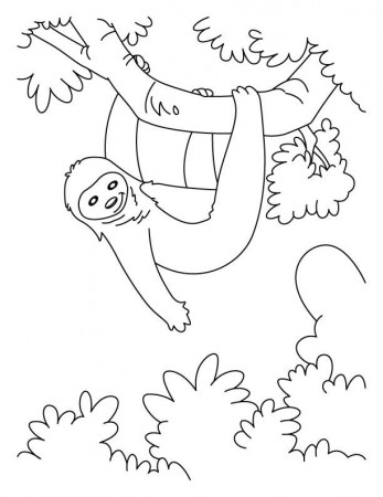 sloth coloring page | sloth coloring pages | Download Free Hanging ...