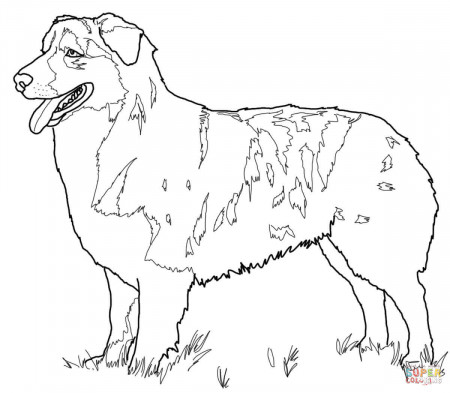 German Shepherd Dogs coloring page | Free Printable Coloring Pages