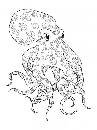 coloring-pages-for-adults-only-4.jpg