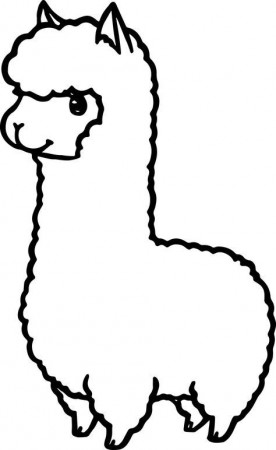 Cartoon Alpaca Coloring Page | Alpaca drawing, Coloring pages, Cute llama