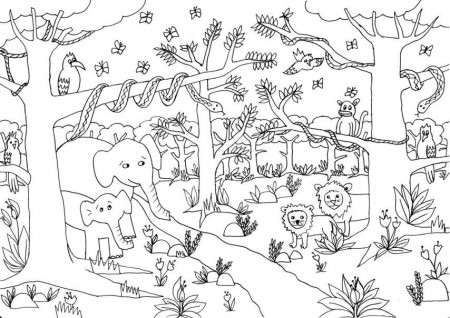 Jungle Coloring Pictures Print Jungle Coloring Free Coloring Pages ...