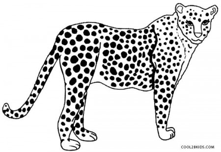 Printable Cheetah Coloring Pages For Kids