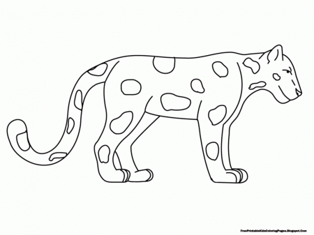 Coloring Pages Animal Classification Rainforest Animals Drawings ...