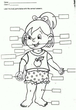 body coloring pages - High Quality Coloring Pages