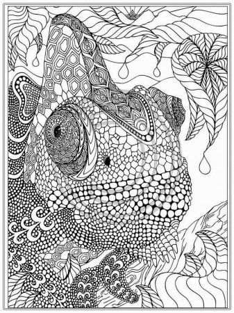 Best Fresh Kids Free Coloring Pages For Adults Printable 4038 ...