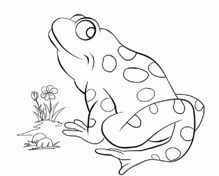 Frogs coloring pages to download and print for free