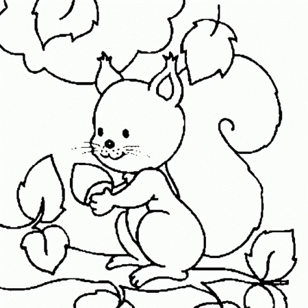 Squirrel Colouring Pictures : Squirrel Coloring Pages For Children ...