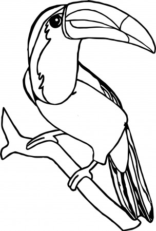 Toucan Coloring Page