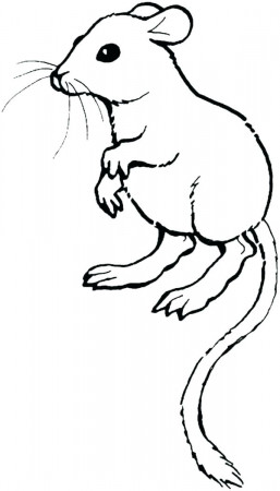 Lab Rats Coloring Pages Lab Rats Coloring Pages S Lab - Coloring ...