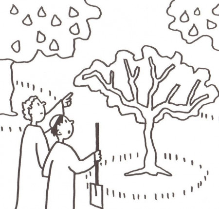 Tree coloring page, Coloring pages, Parables of jesus