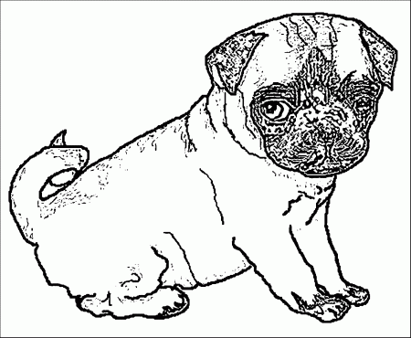 Free Coloring Pages Pug, Download Free Coloring Pages Pug png images, Free  ClipArts on Clipart Library