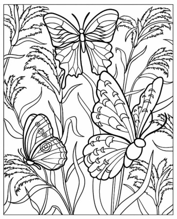 20+ Free Printable Butterfly Coloring Pages for Adults -  EverFreeColoring.com