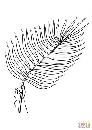 Palm Tree Branch coloring page | Free Printable Coloring Pages