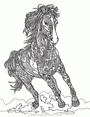 Horse Adult Coloring Page