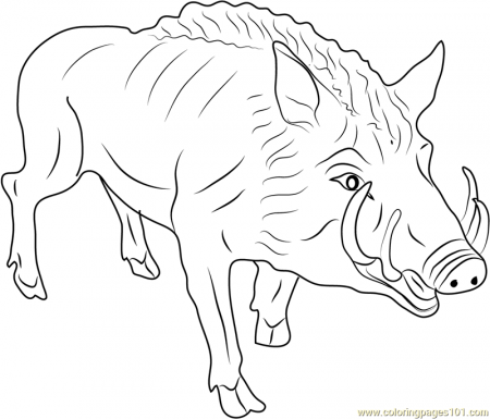 Eurasian Wild Pig Coloring Page for Kids - Free Boar Printable Coloring  Pages Online for Kids - ColoringPages101.com | Coloring Pages for Kids