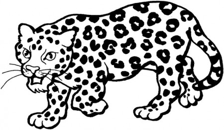 Pin on Animal Coloring Pages