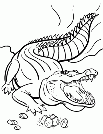 Drawing Crocodile #4861 (Animals) – Printable coloring pages