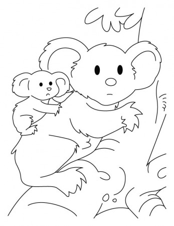 Koala Bear Coloring Page - Get Coloring Pages