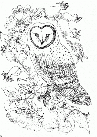 Proficiency Bird Coloring Pages For Kids Az Coloring Pages ...