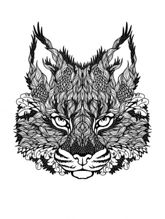 Abstract Lion Coloring Pages - Coloring Pages For All Ages