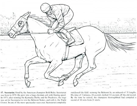 draft horse coloring pages – derofc.club