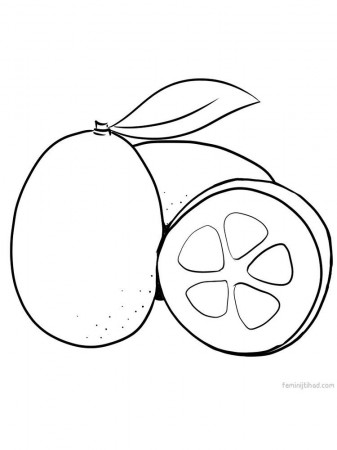 kumquat coloring page pdf. This orange fruit is one type of ...