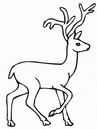 Printable Deer Coloring Pages | Coloring Me