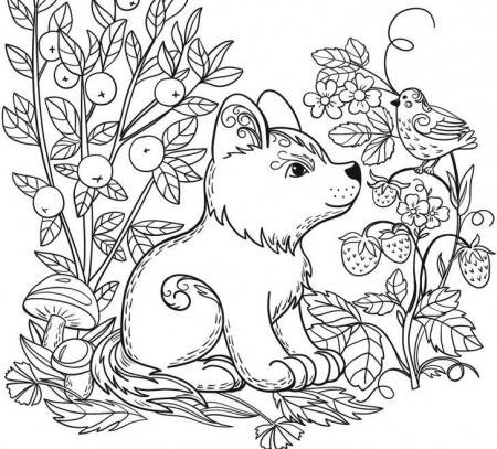 25+ Amazing Picture of Printable Animal Coloring Pages -  albanysinsanity.com | Bird coloring pages, Farm animal coloring pages, Dog coloring  page
