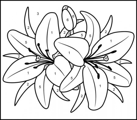 Lily Coloring Pages For Adults - Free Coloring Pages | Flower drawing, Easy  flower drawings, Flower coloring pages