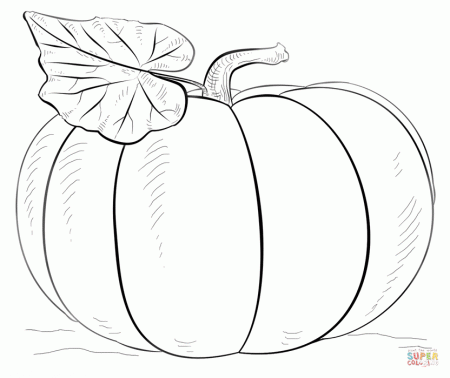 Pumpkins coloring pages | Free Coloring Pages