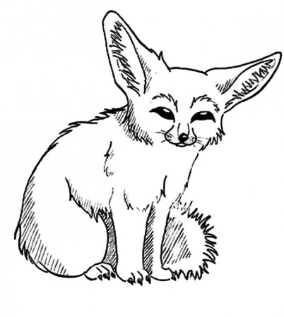 Desert Fox Picture Coloring Pages - NetArt