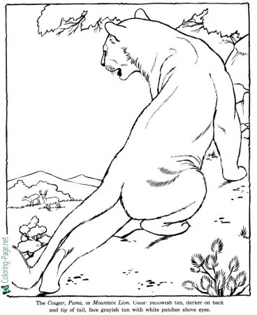 Beanie Boo Coloring Pages Zoo Sheets - Zoo Coloring Sheets |  behindthegown.com