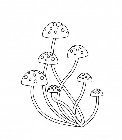 Premium Vector | Mushrooms coloring page black and white toxic mushroom  vector