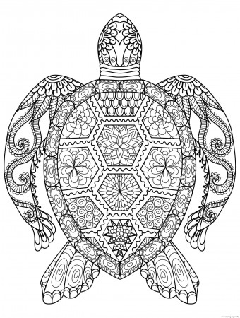 Coloring Pages : Advanced Adult Zentangle Zen Turtle ...
