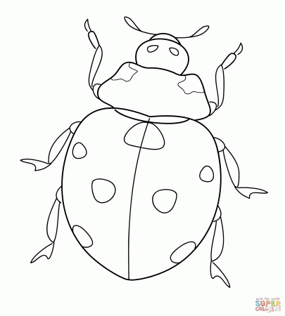 Ladybug Coloring Page Pages Miraculous Free Printable For ...