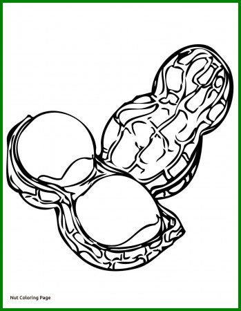 coloring : Thenuts Movie Coloring Pages Circus Page Snoopy ...