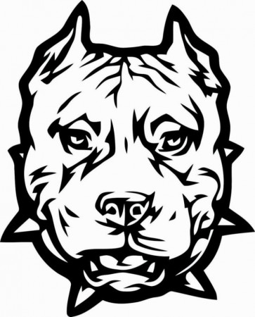 Pitbull Face Coloring Page - Free Printable Coloring Pages for Kids