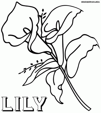 Lily coloring pages | Coloring pages to download and print