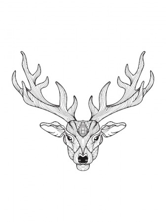 Free Deer head coloring pages. Download and print Deer head coloring pages