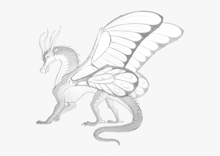 Line Drawing Of Angel Wings Owl Outline Free Pages - Silkwings Wings Of  Fire, HD Png Download , Transparent Png Image - PNGitem
